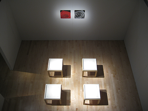 Centre d'exposition d'Amos